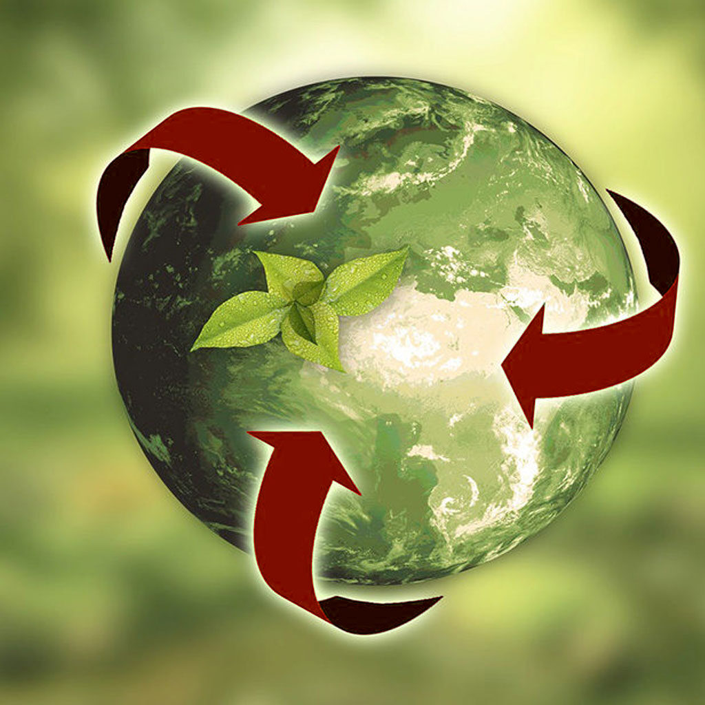 reciclar-cuando-medellin-ecologico